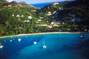 Foreclosures in Paradise