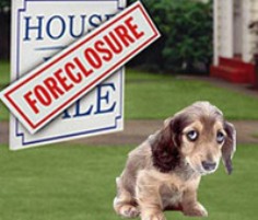 Foreclosure Pets